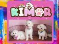 Kimor
