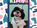Kimor