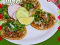 Taqueria Mexico