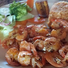 El%20Arrecife%20Tepic