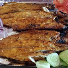 El%20Arrecife%20Tepic