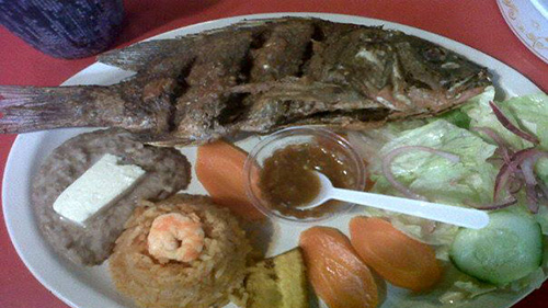 El%20Arrecife%20Tepic